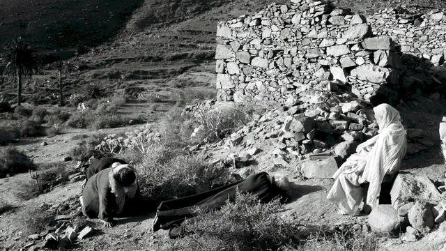 Photo 9 du film : Le Chant des oiseaux