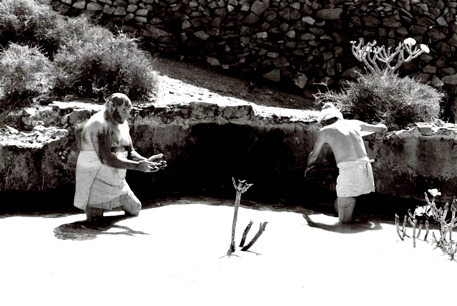 Photo 11 du film : Le Chant des oiseaux