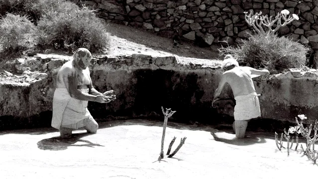 Photo 11 du film : Le Chant des oiseaux