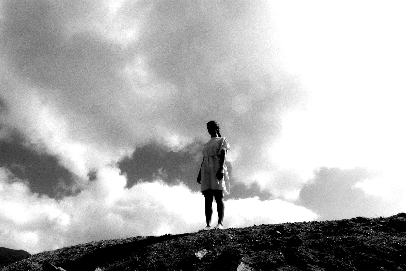 Photo 12 du film : Le Chant des oiseaux