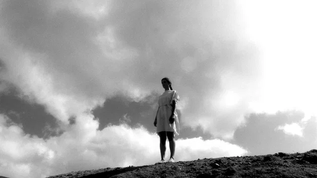 Photo 12 du film : Le Chant des oiseaux