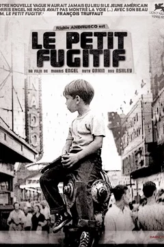 Affiche du film = Le petit fugitif