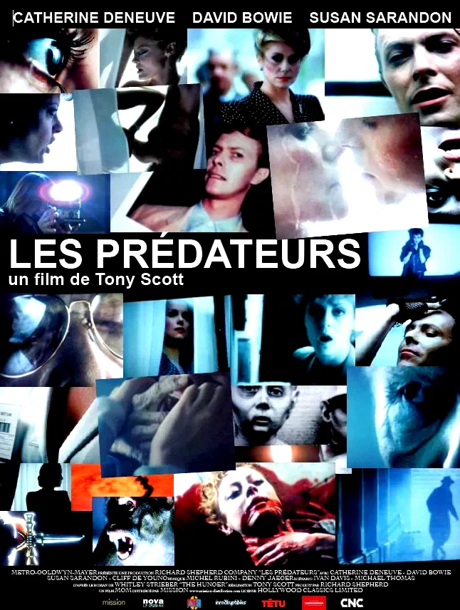 Photo 1 du film : Les Prédateurs
