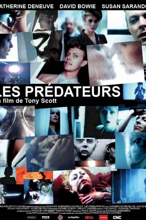 Photo 1 du film : Les Prédateurs