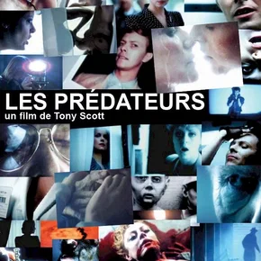 Photo du film : Les Prédateurs