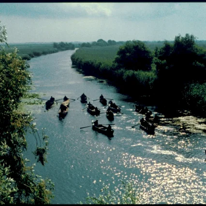 Miniature photo du film : Delta