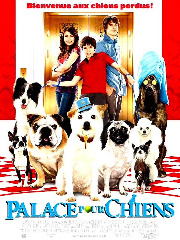 Affiche du film : Palace pour chiens