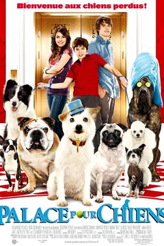 Affiche du film Palace pour chiens