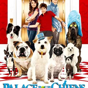 Photo du film : Palace pour chiens
