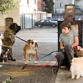 Photo du film : Palace pour chiens