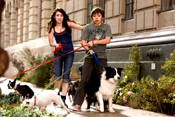 Photo 5 du film : Palace pour chiens