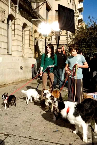 Photo 10 du film : Palace pour chiens