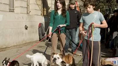Affiche du film : Palace pour chiens
