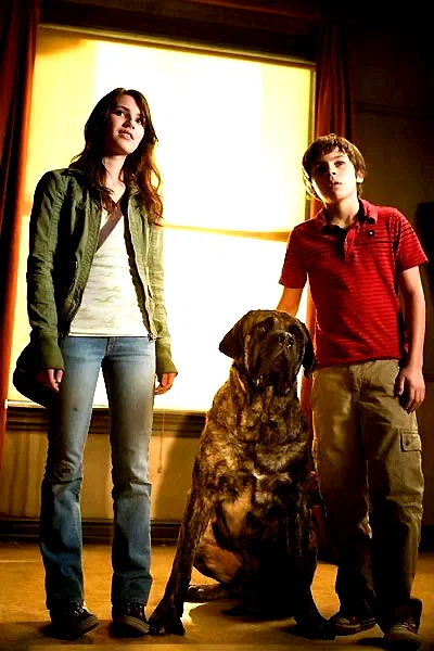 Photo 8 du film : Palace pour chiens
