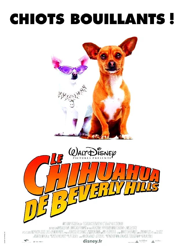 Affiche du film : Le Chihuahua de Beverly Hills