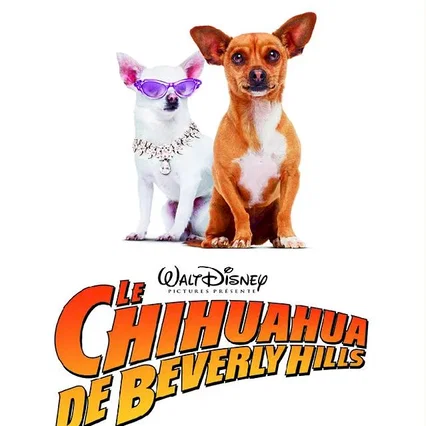 Miniature photo du film : Le Chihuahua de Beverly Hills