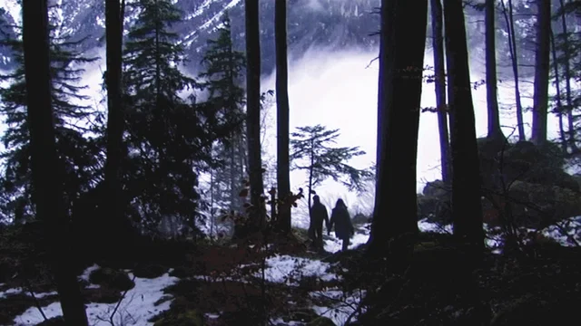 Photo du film : Un lac