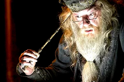 Photo 23 du film : Harry Potter et la coupe de feu