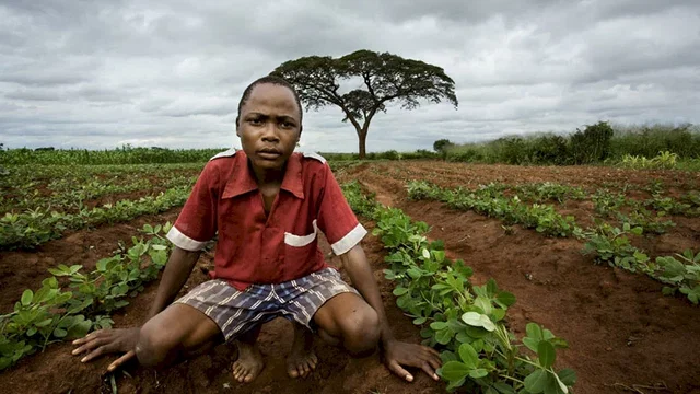 Photo 9 du film : I Am Because We Are