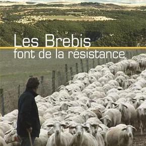 Photo du film : Les brebis font de la résistance