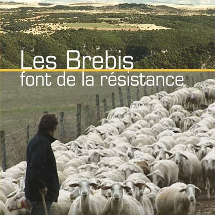 Miniature photo du film : Les brebis font de la résistance