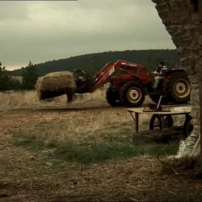 Photo du film : Les brebis font de la résistance