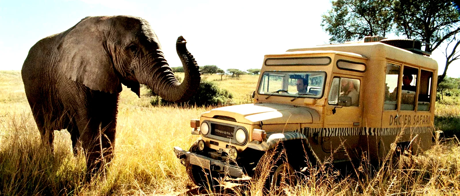 Photo 8 du film : Safari