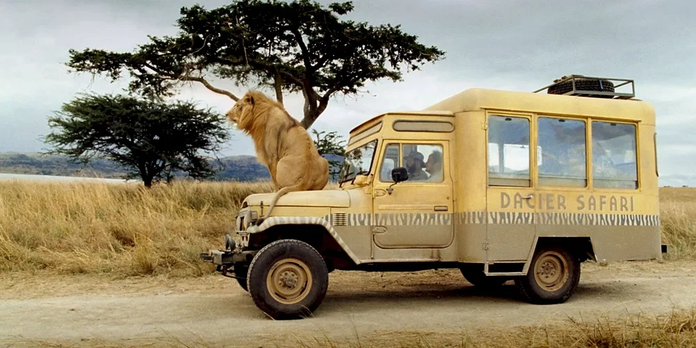 Photo du film : Safari