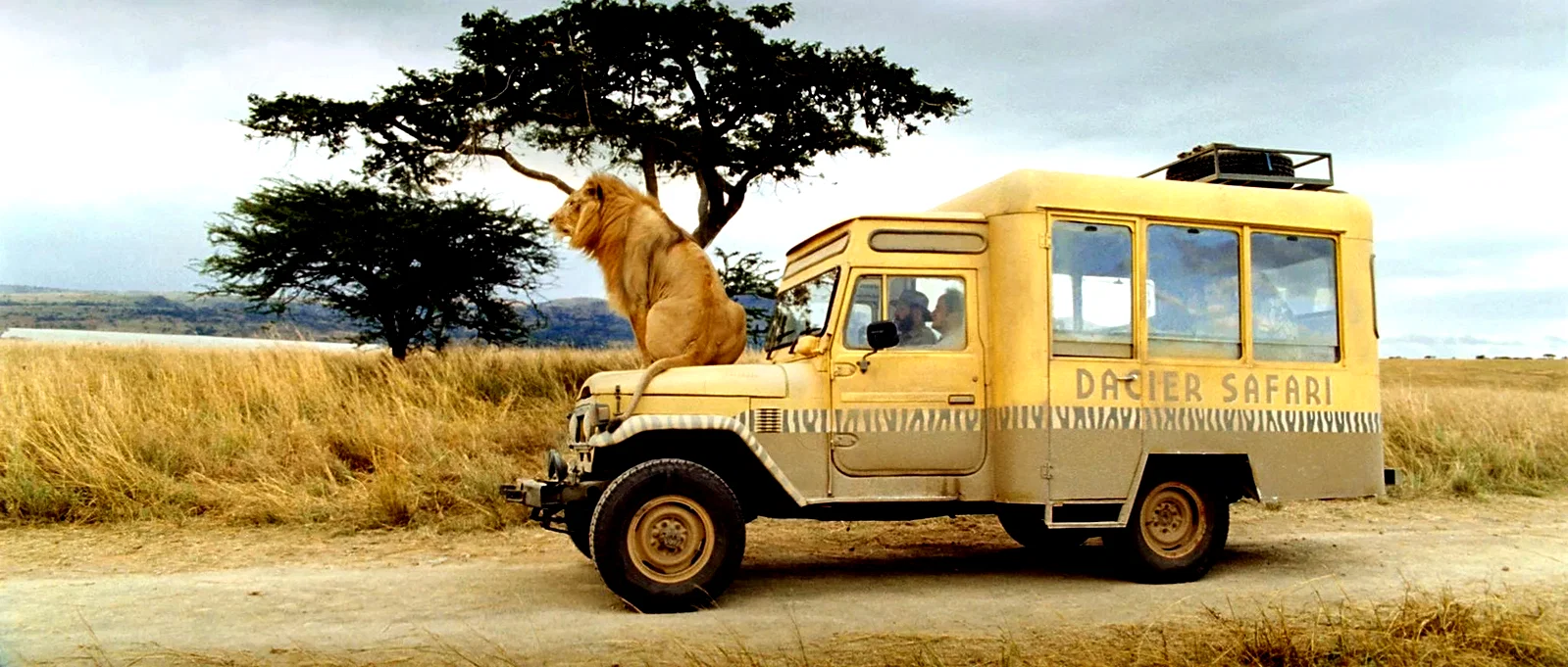 Photo 14 du film : Safari