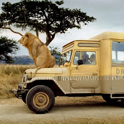 Miniature photo du film : Safari
