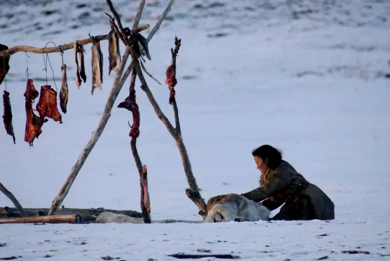Photo 2 du film : Far North
