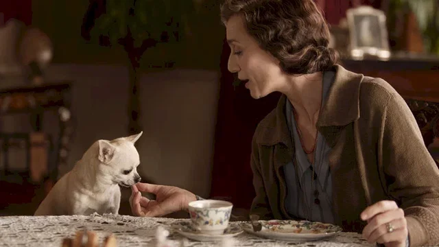 Photo du film : Un mariage de rêve