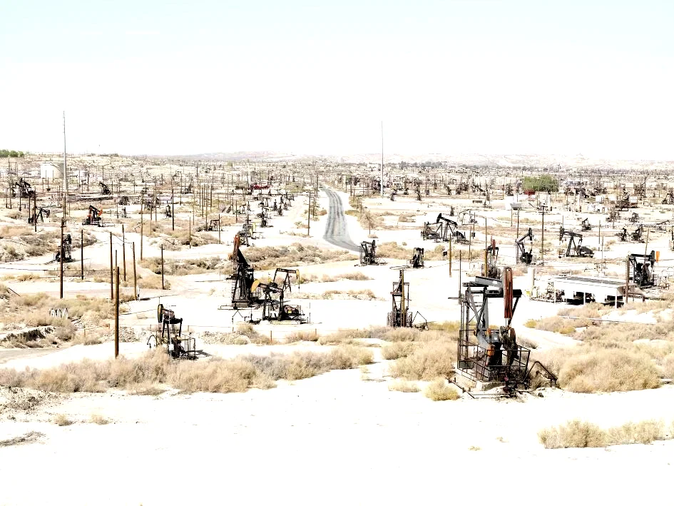 Photo 13 du film : Nous resterons sur terre