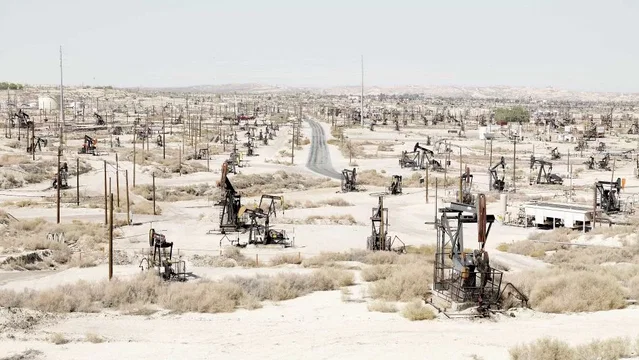 Photo du film : Nous resterons sur terre