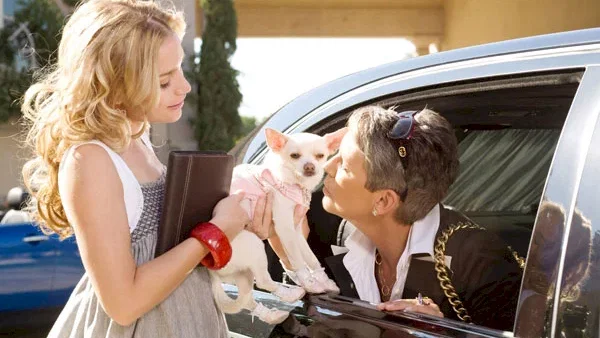 Photo du film : Le Chihuahua de Beverly Hills