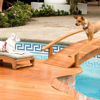 Miniature photo du film : Le Chihuahua de Beverly Hills