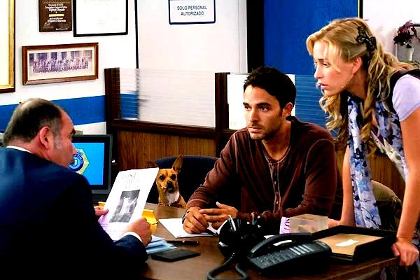 Photo 12 du film : Le Chihuahua de Beverly Hills