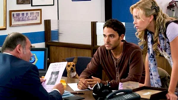 Photo du film : Le Chihuahua de Beverly Hills