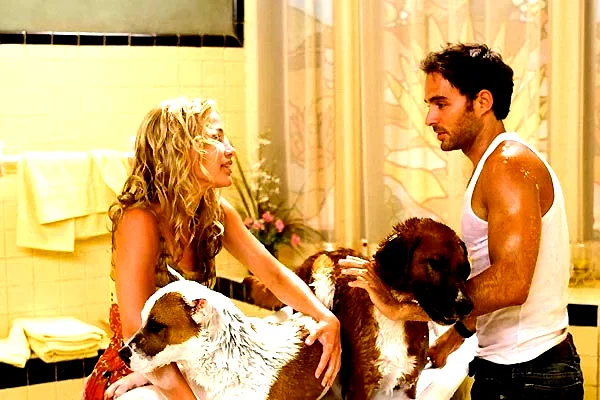 Photo 16 du film : Le Chihuahua de Beverly Hills