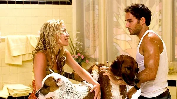 Photo du film : Le Chihuahua de Beverly Hills
