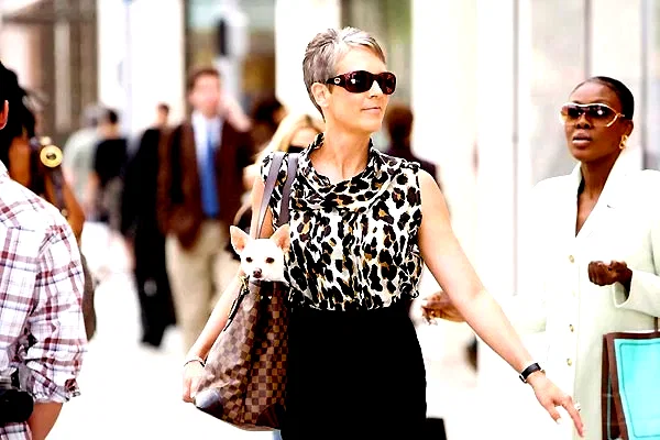 Photo 19 du film : Le Chihuahua de Beverly Hills