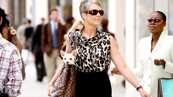 Photo du film : Le Chihuahua de Beverly Hills