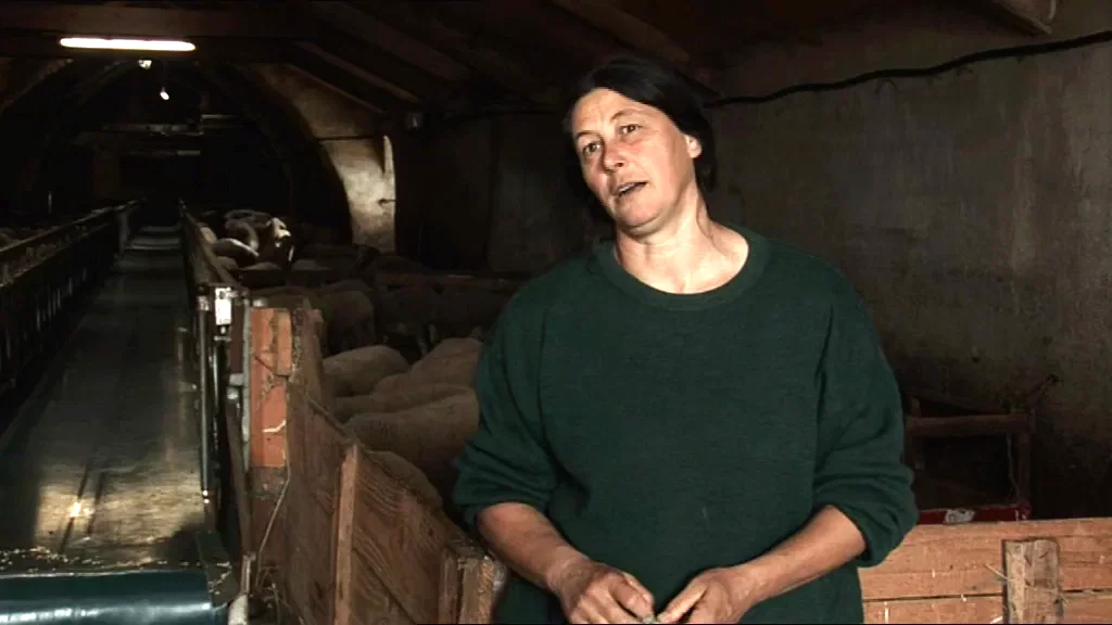 Photo du film : Les brebis font de la résistance