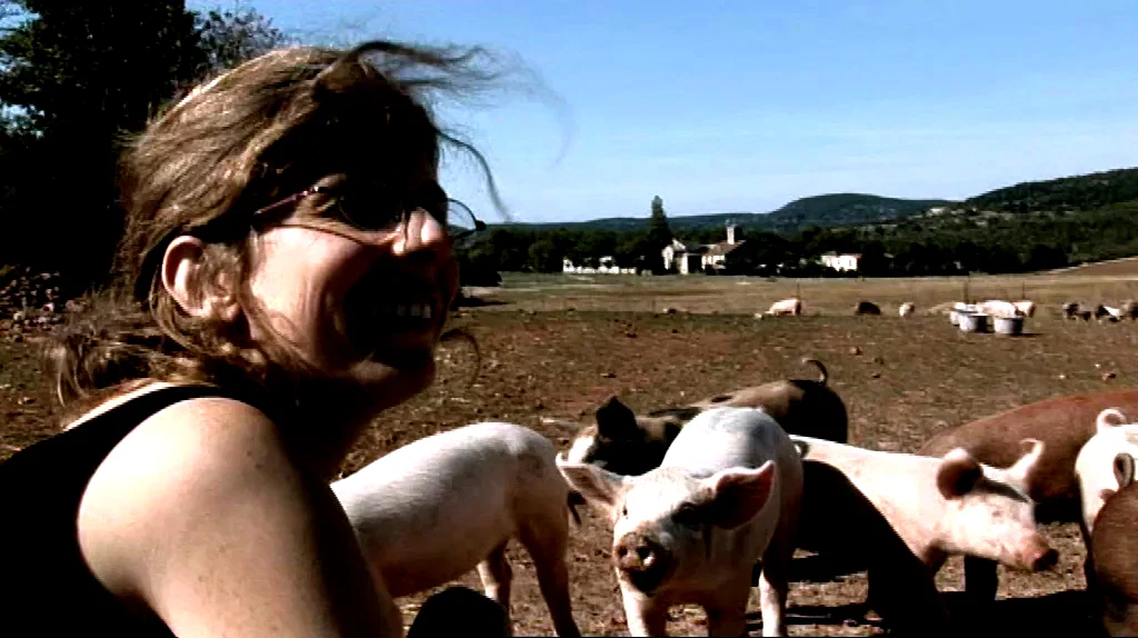 Photo du film : Les brebis font de la résistance