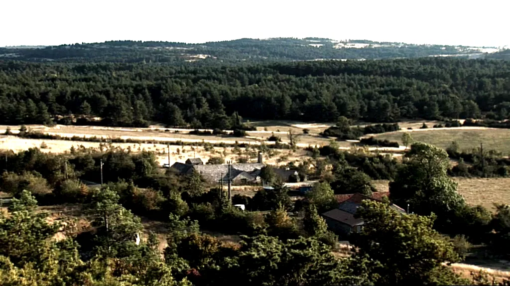 Photo du film : Les brebis font de la résistance