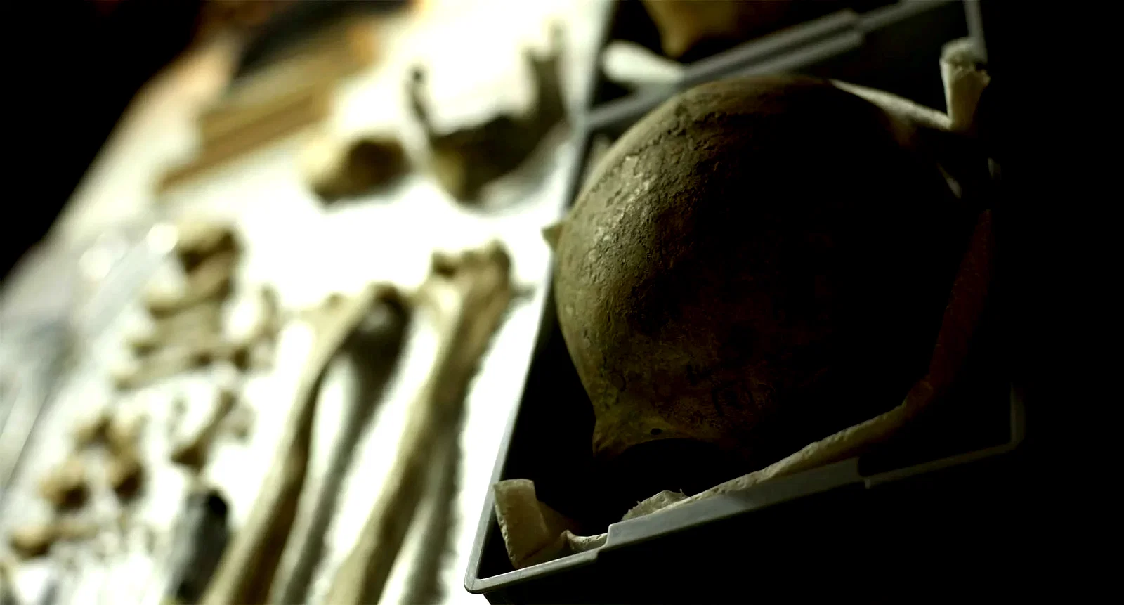 Photo du film : Humains