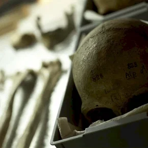 Photo du film : Humains