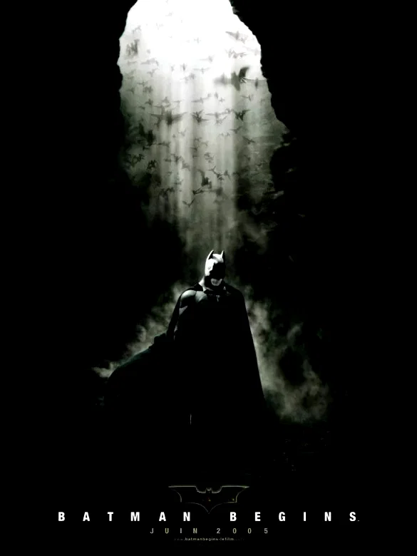 Photo 6 du film : Batman Begins
