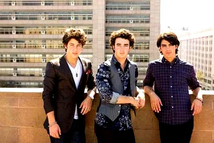 Photo du film : Jonas Brothers : le concert évènement en 3D