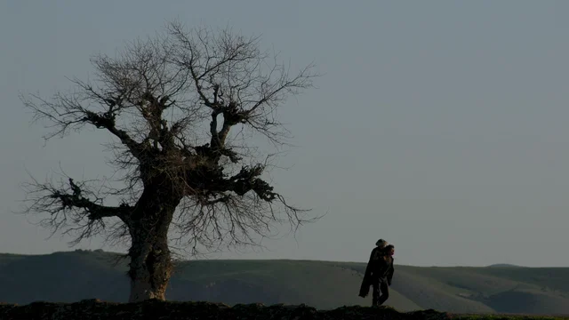 Photo du film : L'Enfant-cheval